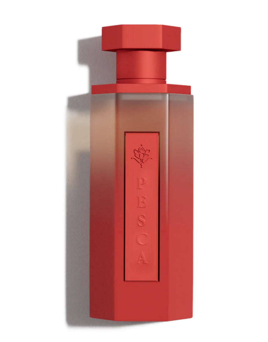 Reef Pesca EDP Perfume By Reef Perfume 200 Ml OFFICIALSKCOLLECTION reef-pesca-edp-perfume-by-reef-perfume-200-ml-officialskcollection